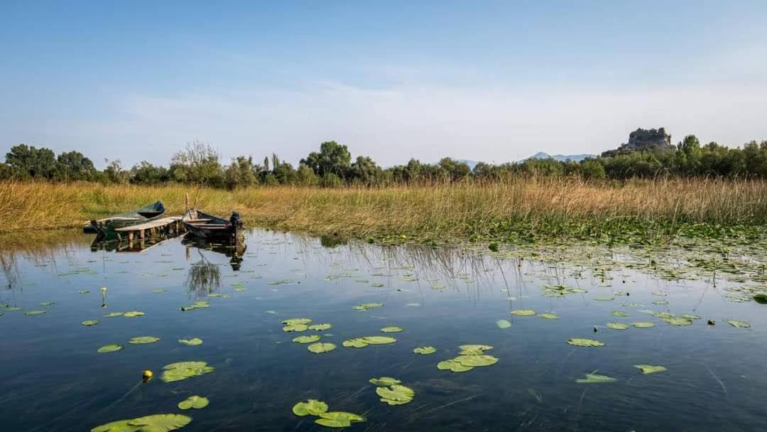 Holiday Home Haustor With Skadar Lake View Подгорица Екстериор снимка