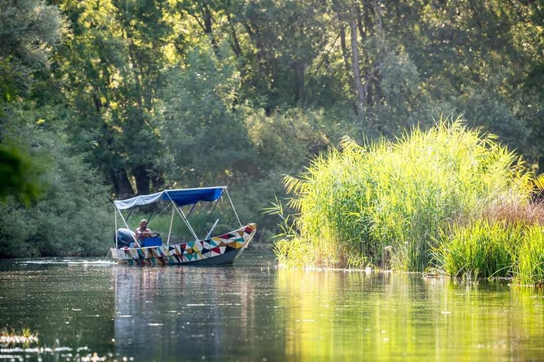 Holiday Home Haustor With Skadar Lake View Подгорица Екстериор снимка